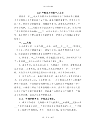 2024年税务局局长个人总结