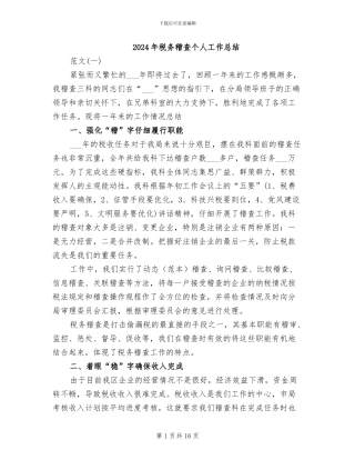 2024年税务稽查个人工作总结