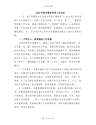2024年税务稽查审理工作总结