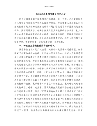 2024年税务稽查建设情况小结