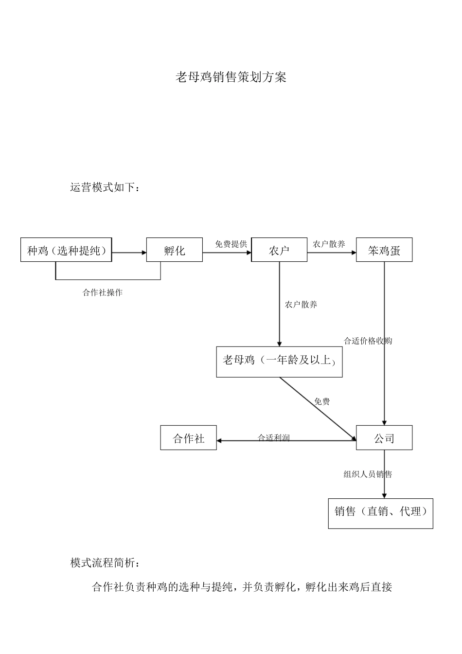 老母鸡营销策划方案_第1页