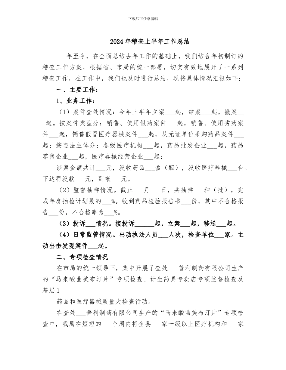 2024年稽查上半年工作总结_第1页