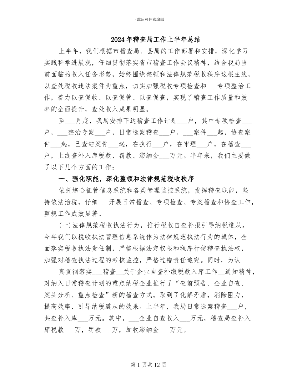 2024年稽查局工作上半年总结_第1页