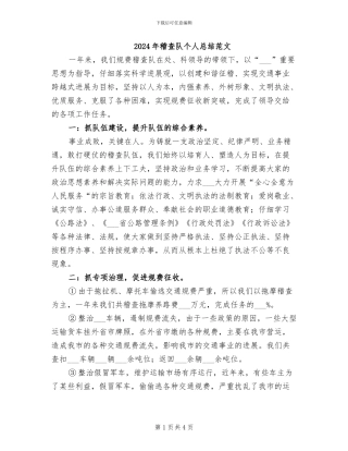 2024年稽查队个人总结范文