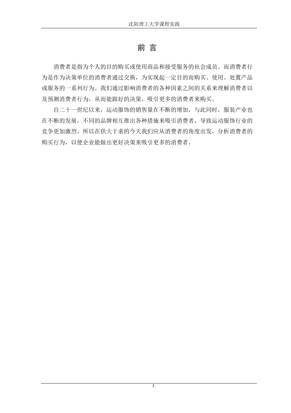 耐克产品的消费者行为分析_第3页