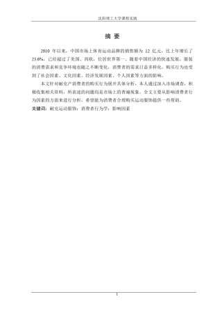 耐克产品的消费者行为分析