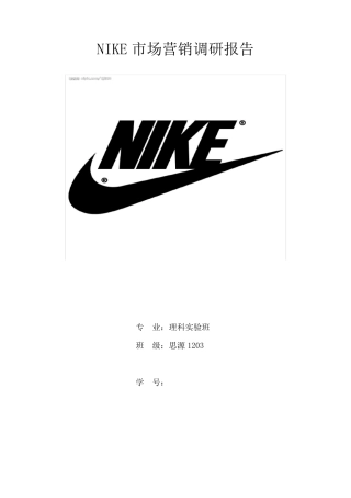 耐克市场营销调研报告