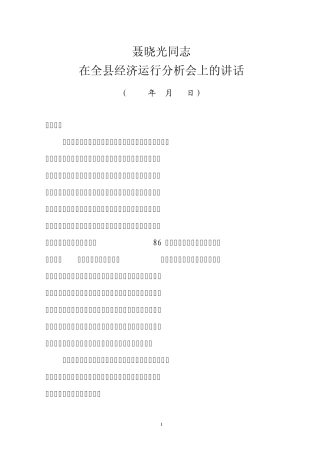 聂晓光同志在全县经济运行分析会上的讲话