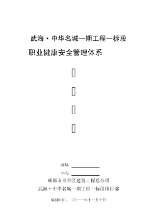 职业健康安全管理体系专项方案