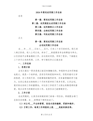 2024年策划试用期工作总结