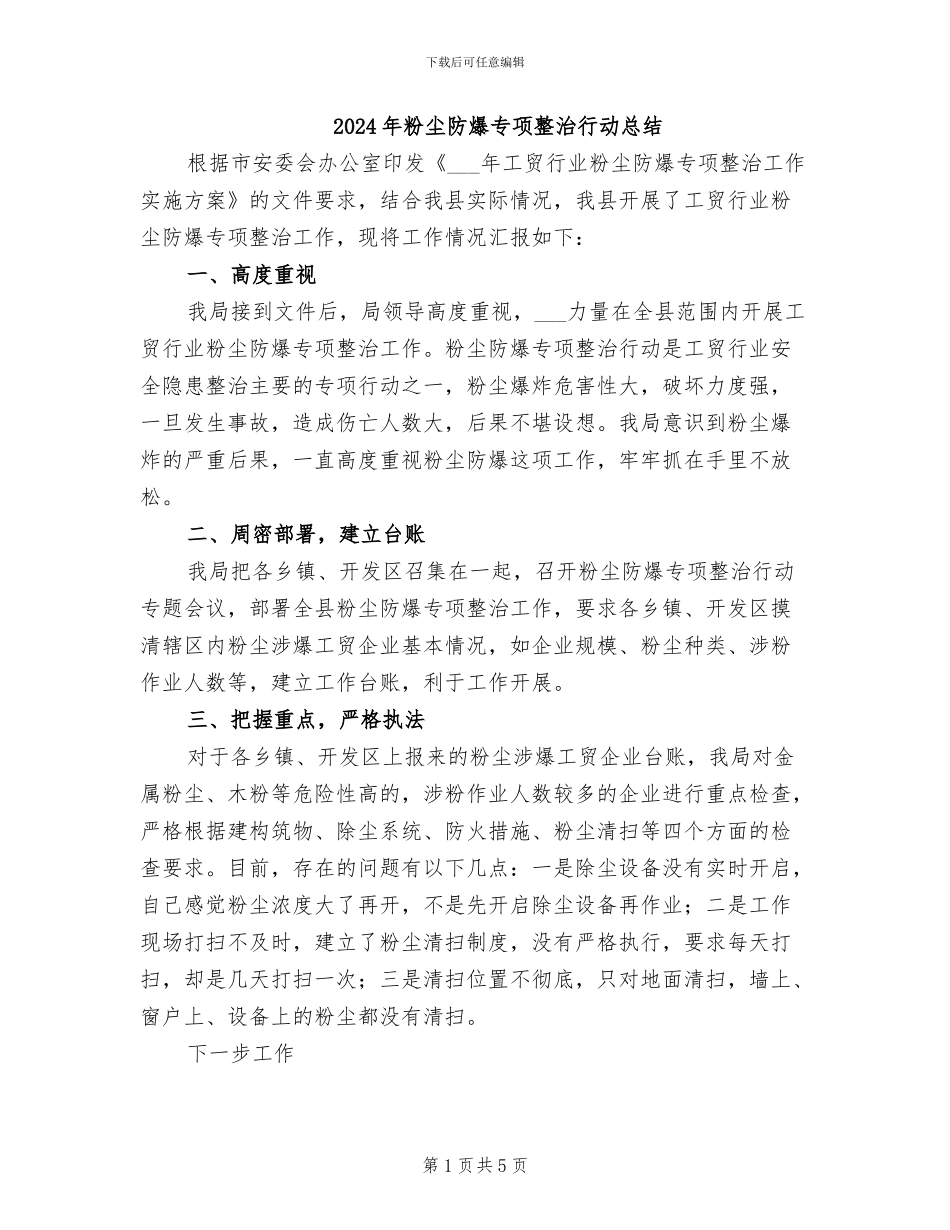 2024年粉尘防爆专项整治行动总结_第1页