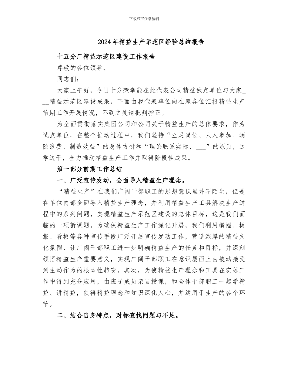 2024年精益生产示范区经验总结报告_第1页