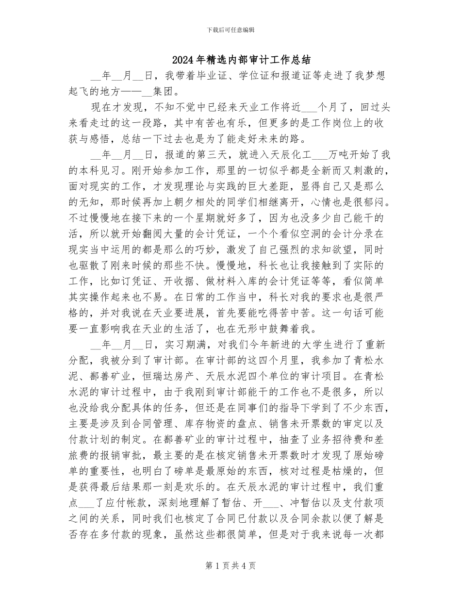 2024年精选内部审计工作总结_第1页
