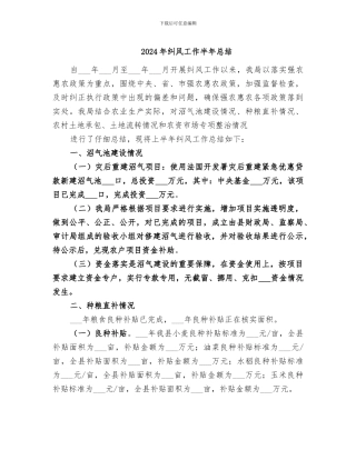 2024年纠风工作半年总结