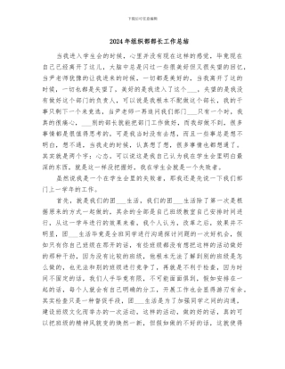 2024年组织部部长工作总结