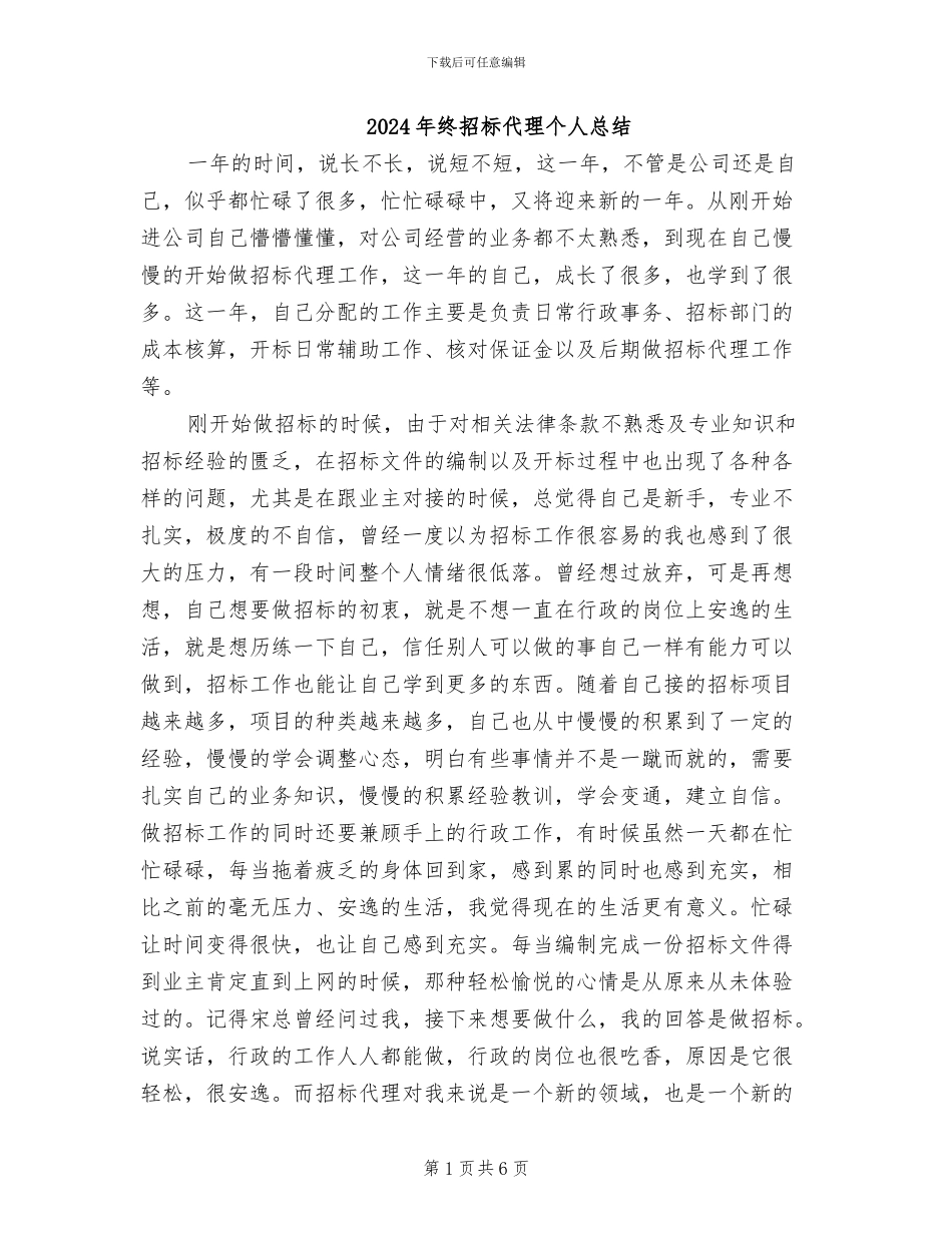 2024年终招标代理个人总结_第1页
