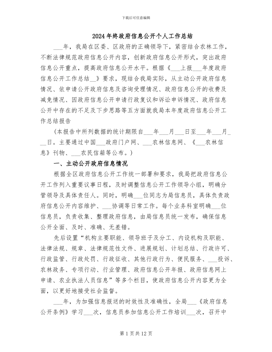 2024年终政府信息公开个人工作总结_第1页