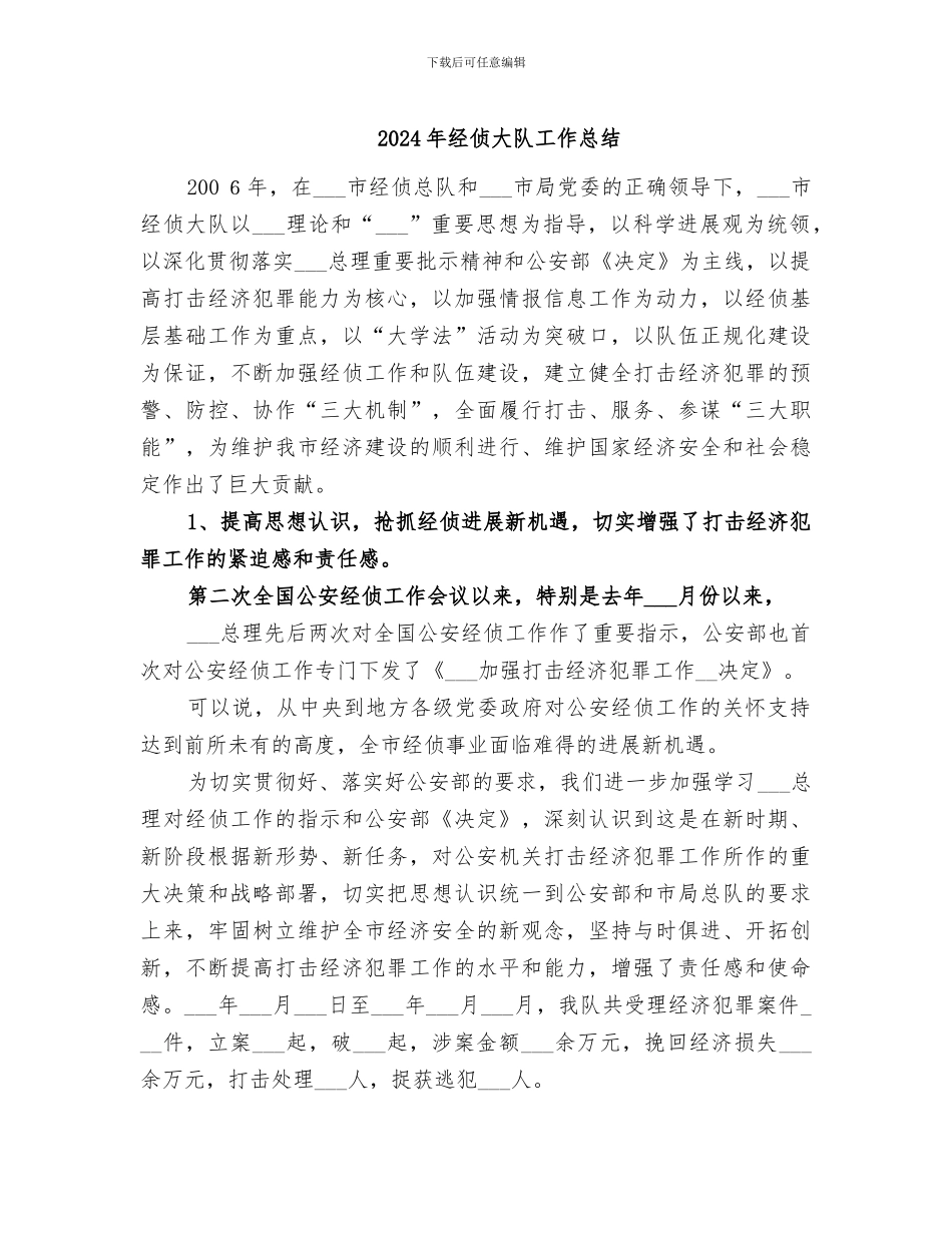 2024年经侦大队工作总结_第1页