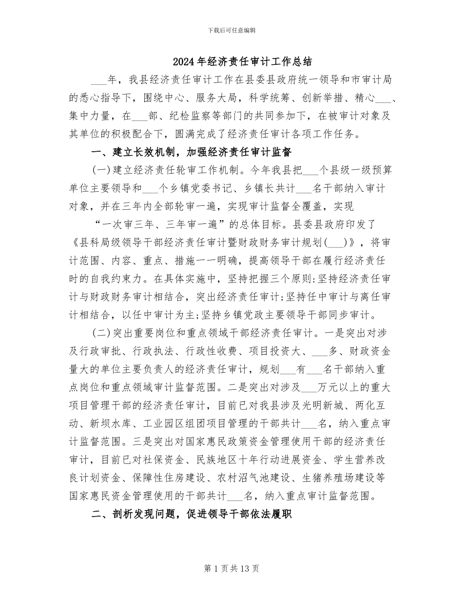 2024年经济责任审计工作总结_第1页
