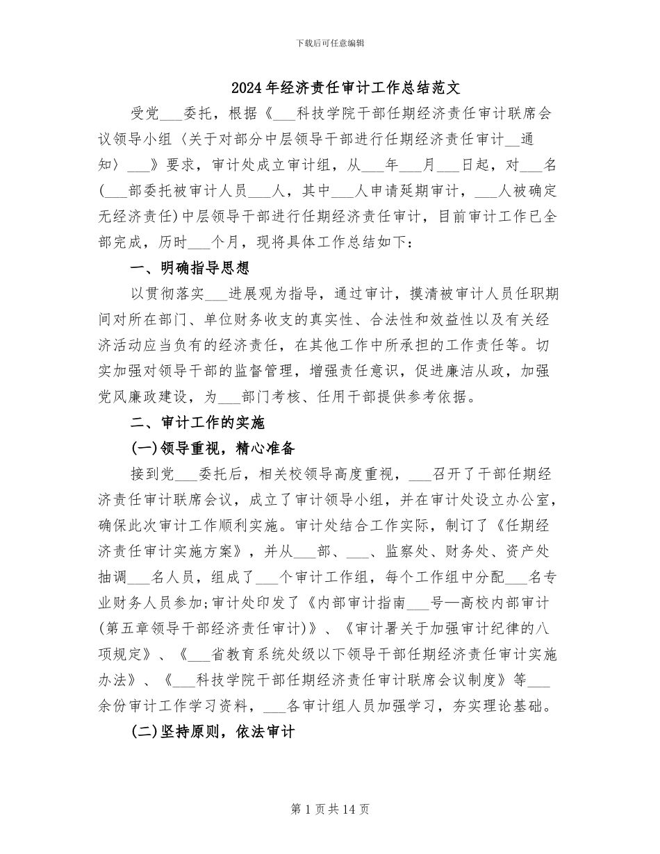 2024年经济责任审计工作总结范文_第1页
