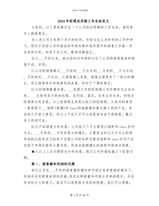 2024年经理试用期工作总结范文