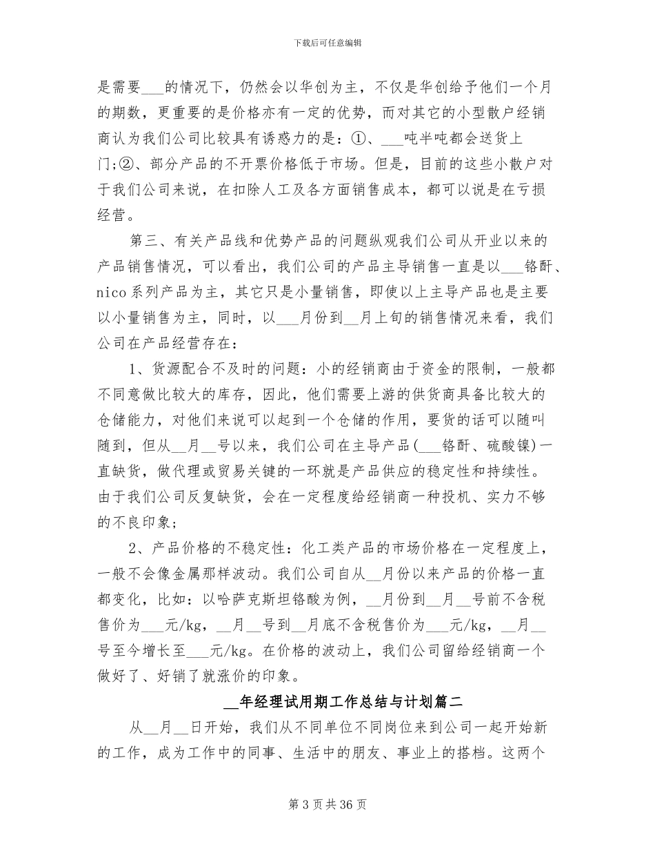 2024年经理试用期工作总结与计划_第3页