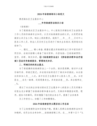 2024年结核病培训小结范文