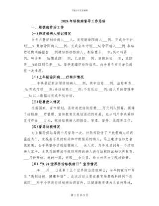 2024年结核病督导工作总结