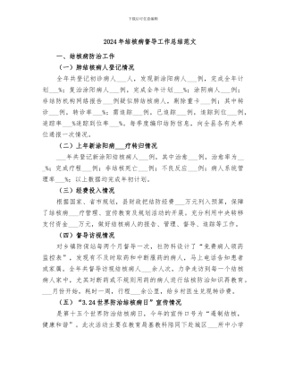 2024年结核病督导工作总结范文