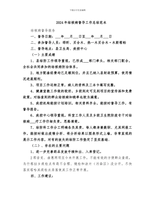 2024年结核病督导工作总结范本