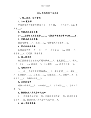 2024年结防科工作总结