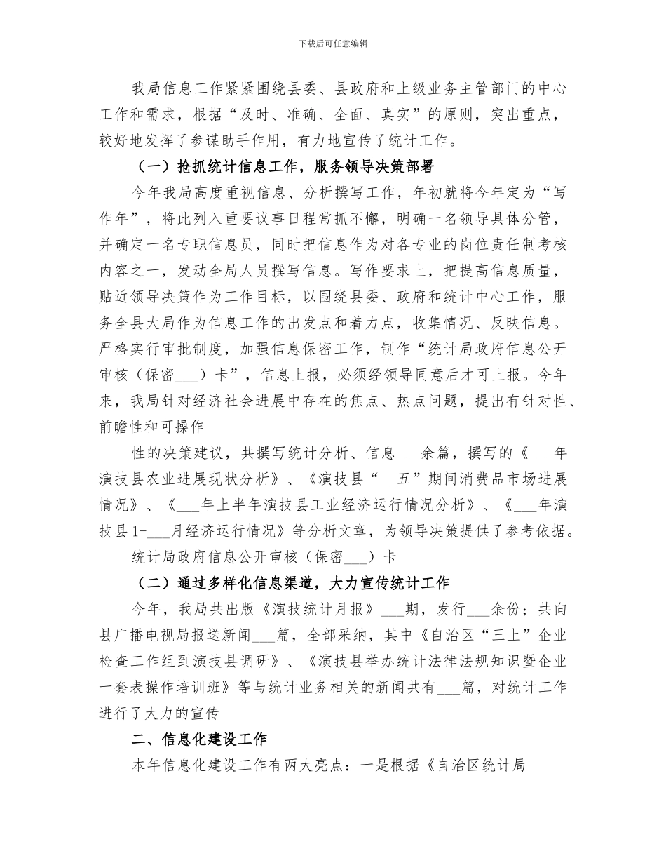 2024年统计信息化总结_第2页