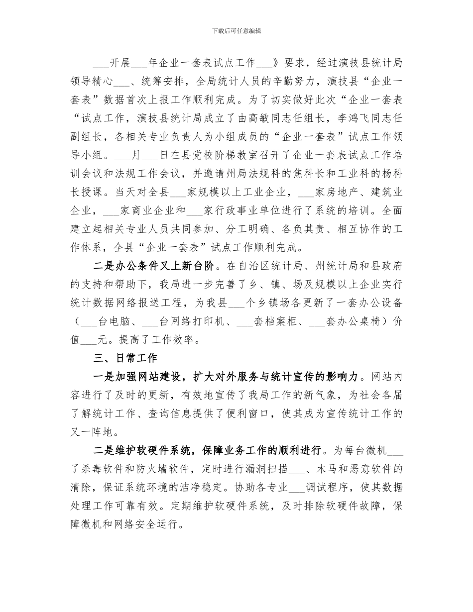 2024年统计信息化总结_第3页