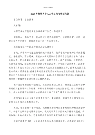 2024年统计员个人工作总结与计划范例