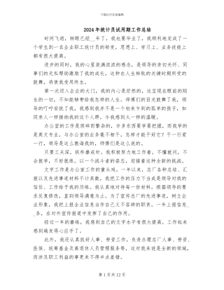 2024年统计员试用期工作总结