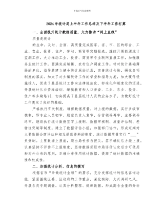 2024年统计局上半年工作总结及下半年工作打算