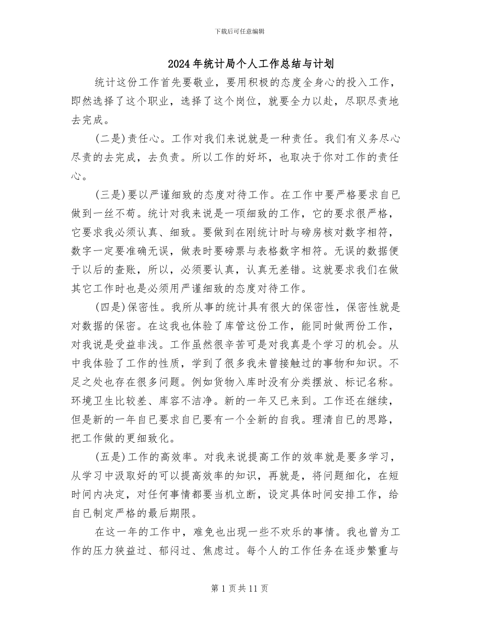 2024年统计局个人工作总结与计划_第1页