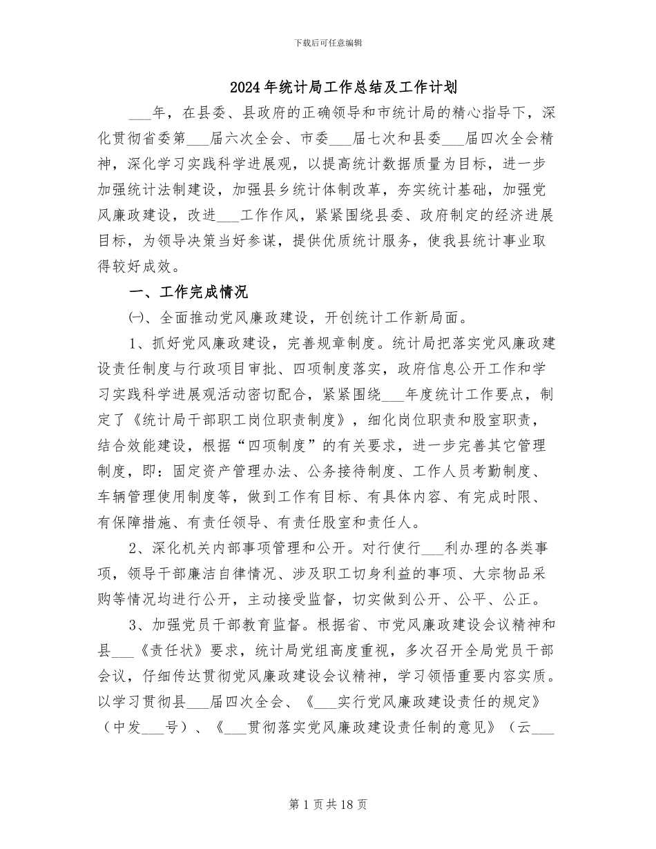 2024年统计局工作总结及工作计划_第1页