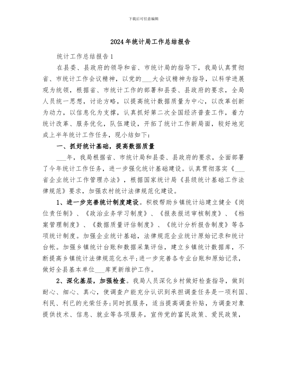 2024年统计局工作总结报告_第1页