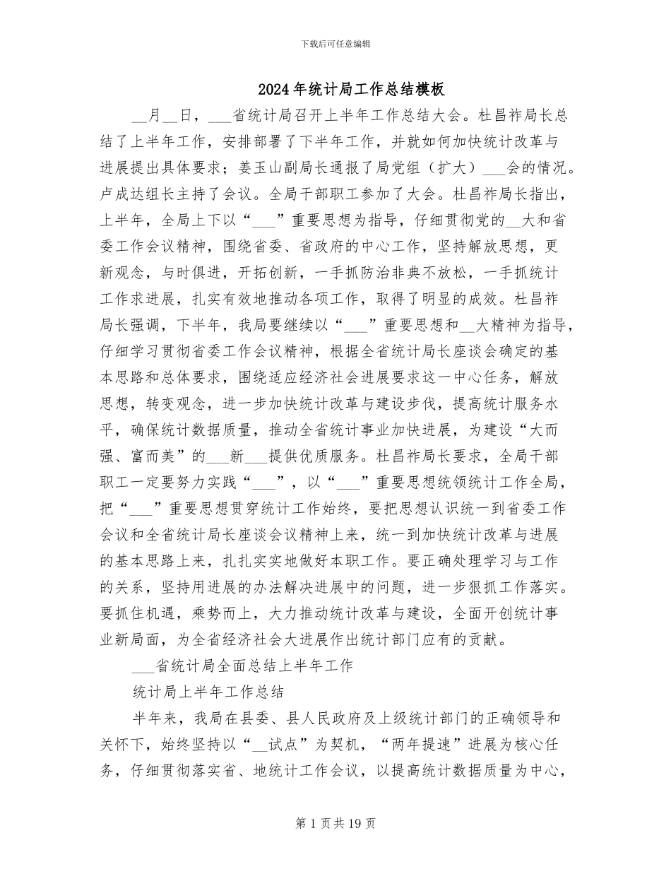 2024年统计局工作总结模板_第1页