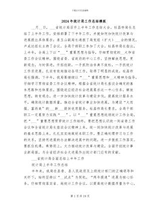 2024年统计局工作总结模板