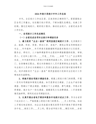 2024年统计局统计半年工作总结