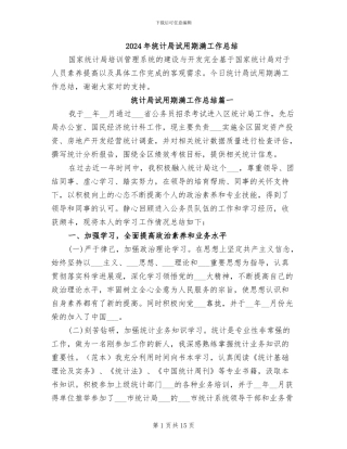 2024年统计局试用期满工作总结