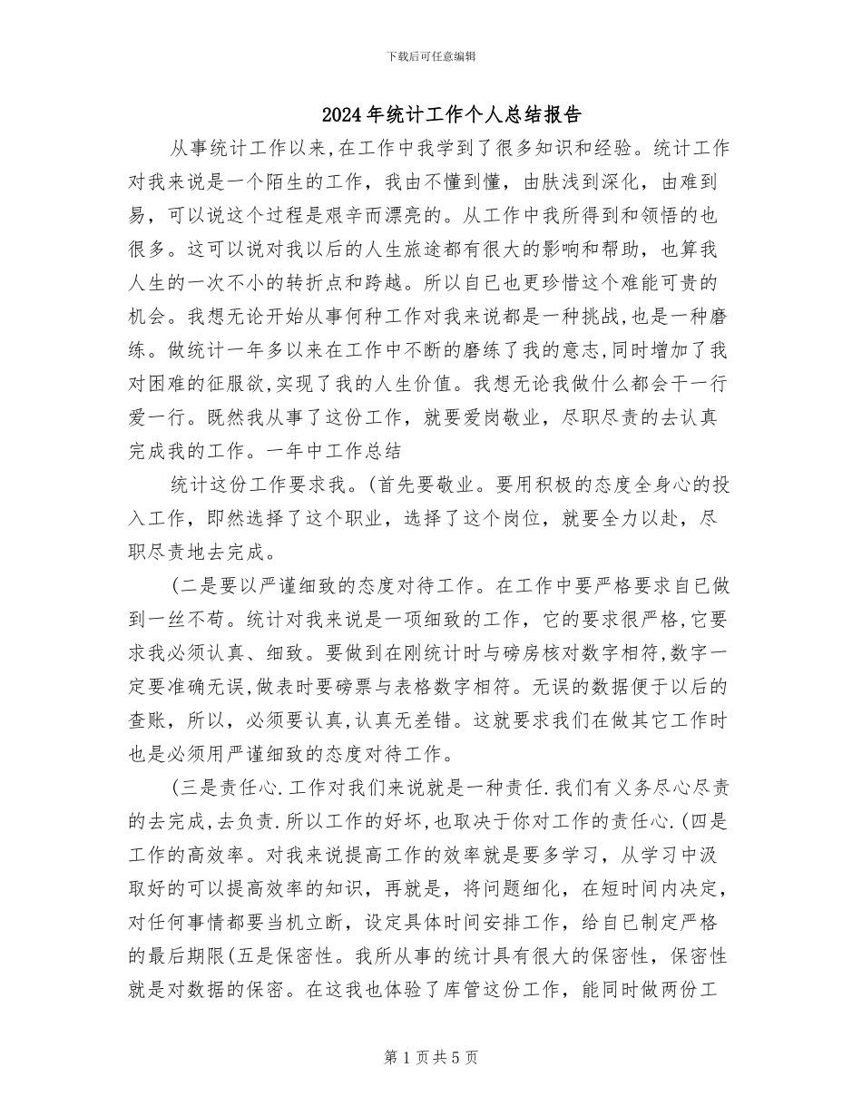 2024年统计工作个人总结报告_第1页