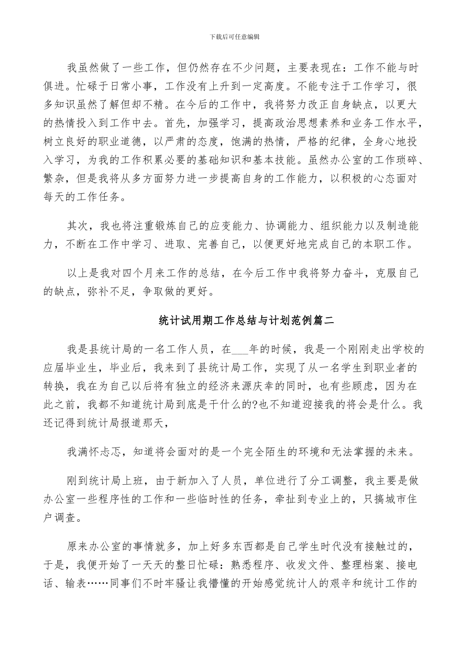 2024年统计试用期工作总结与计划范例_第2页