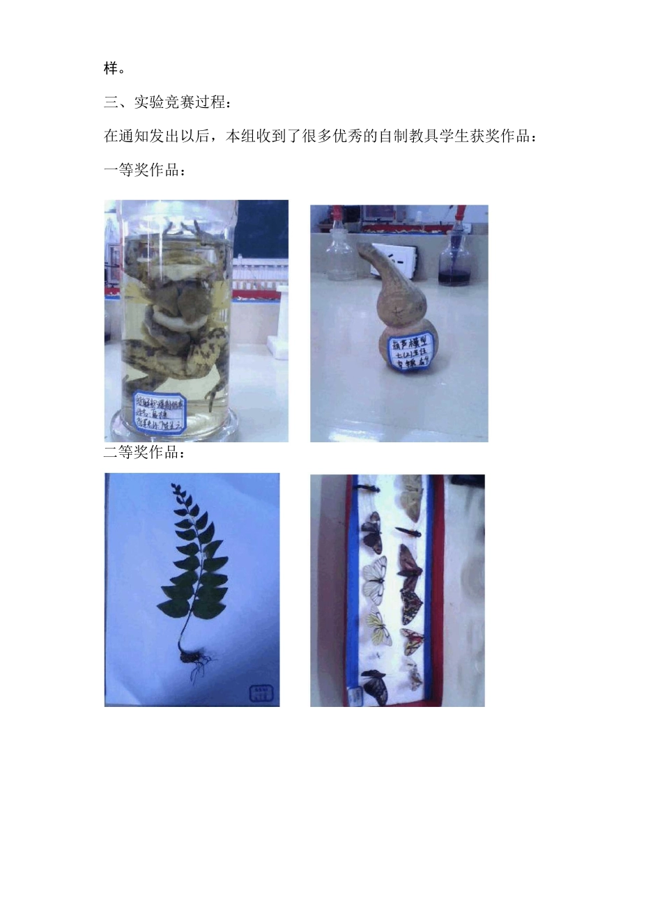 实验操作简报_第3页