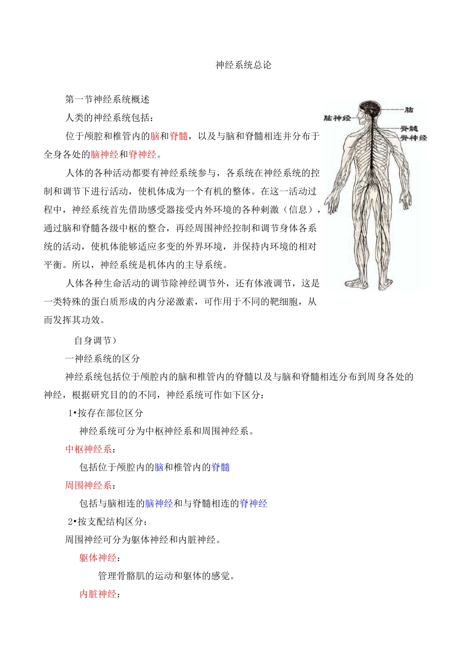 神经系统总论整理_第1页