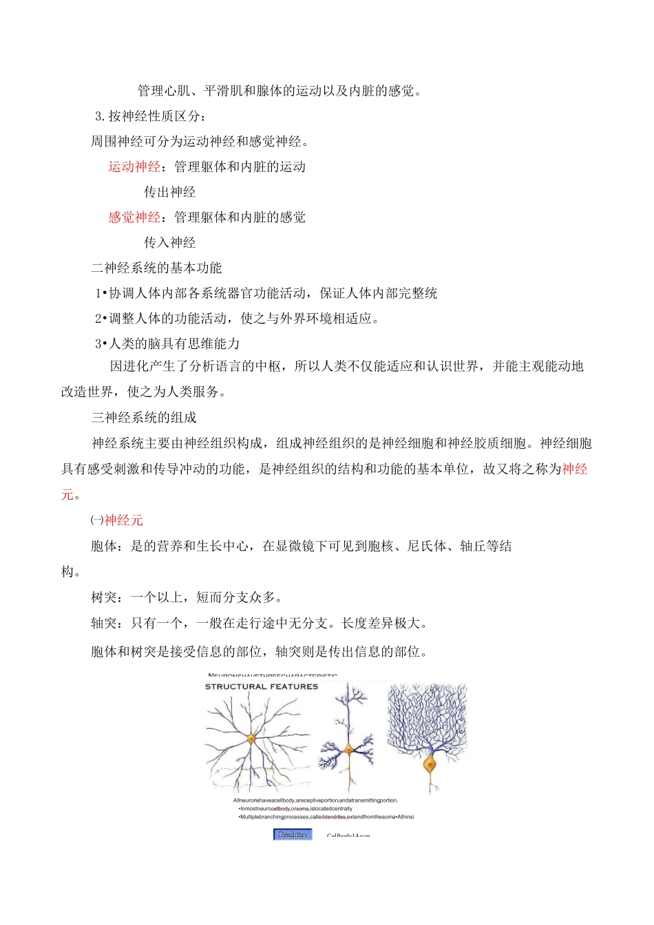 神经系统总论整理_第2页