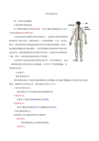 神经系统总论整理