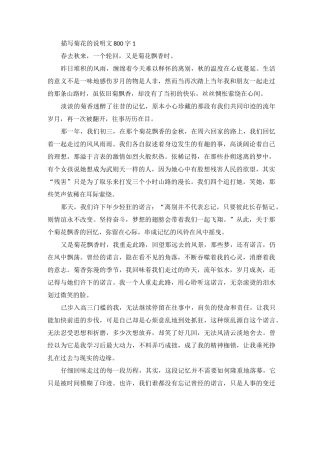 描写菊花的说明文